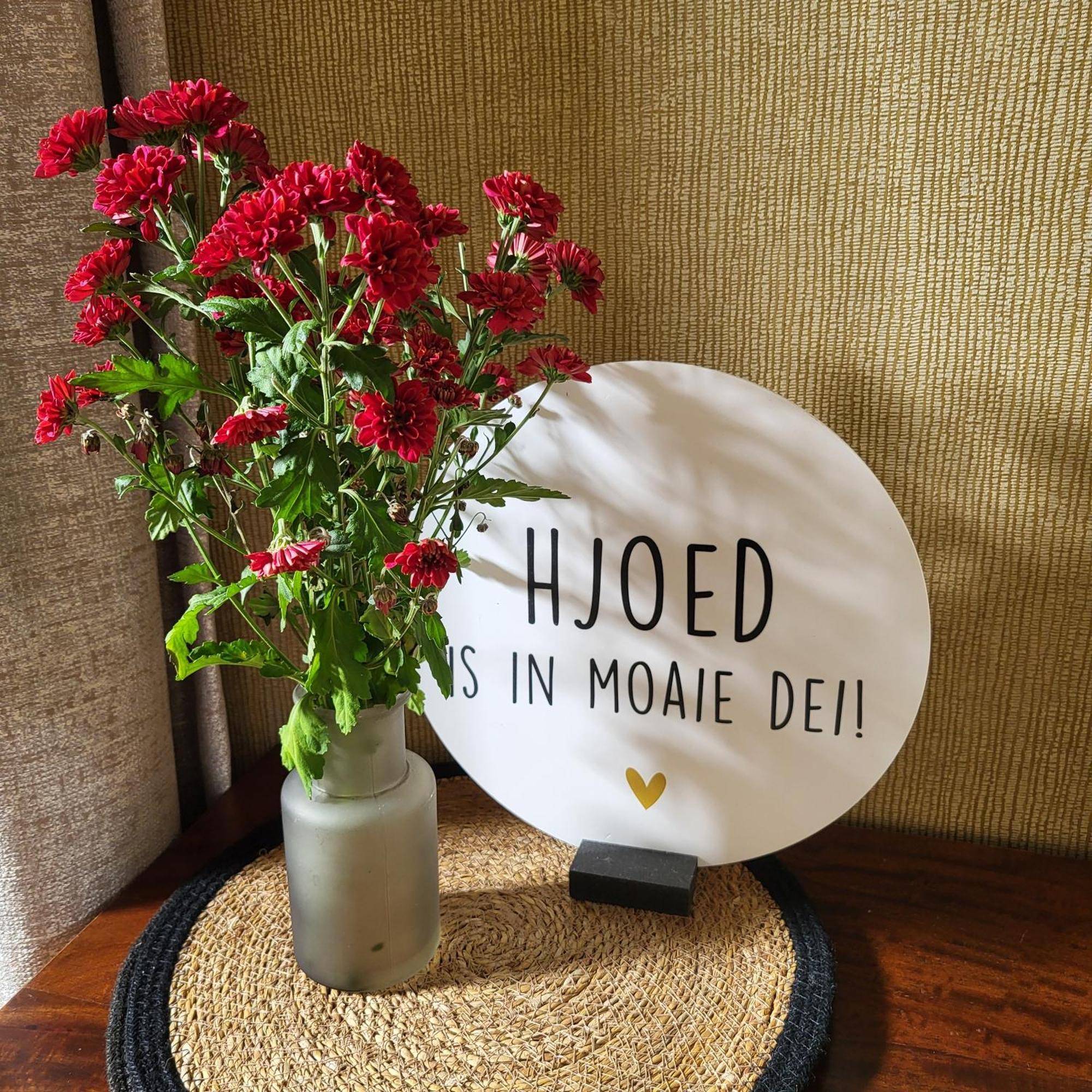Bed and Breakfast Boukje Har Bed En Brochje Burgum Zewnętrze zdjęcie
